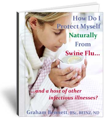 Cover of Swine Flu H1N1 eBook
