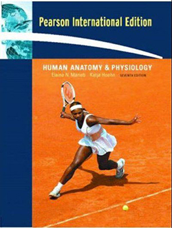 Anatomy and Physiology - Marieb